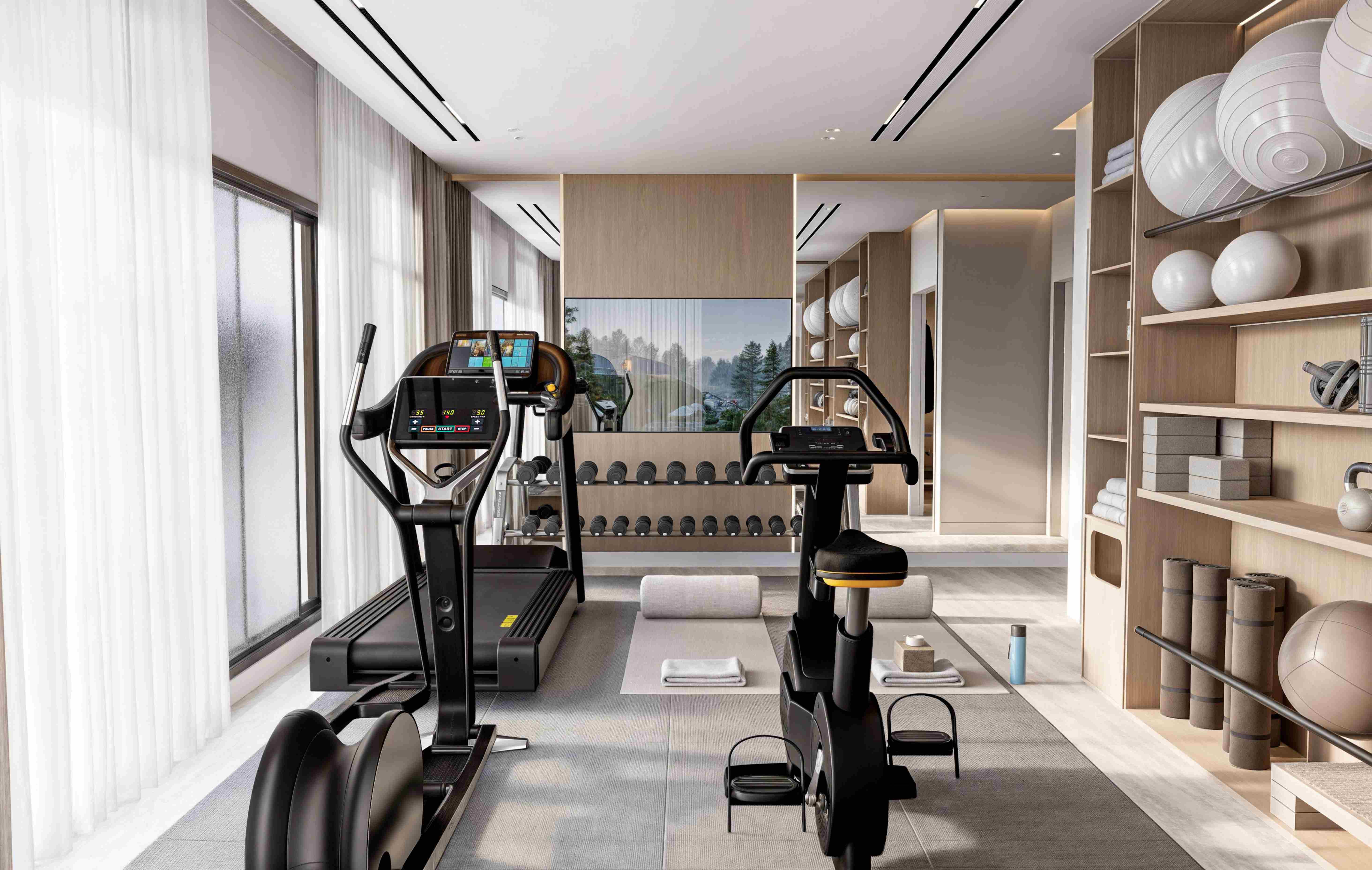Gym Area